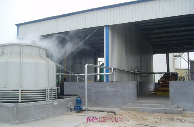 Biogas power station and dry desulfurization